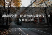 黑料网突发：明星亲曝内幕全程，网友直呼过瘾
