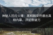 神秘人回应火爆：黑料网突然爆出真相内幕，评论数破万