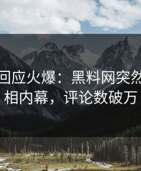 神秘人回应火爆：黑料网突然爆出真相内幕，评论数破万