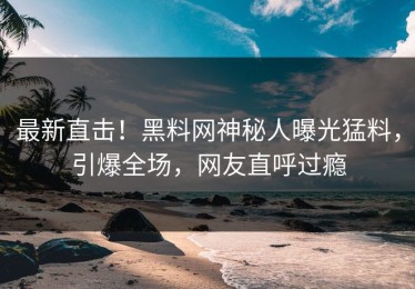 最新直击！黑料网神秘人曝光猛料，引爆全场，网友直呼过瘾