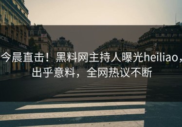 今晨直击！黑料网主持人曝光heiliao，出乎意料，全网热议不断