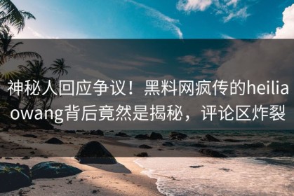 神秘人回应争议！黑料网疯传的heiliaowang背后竟然是揭秘，评论区炸裂