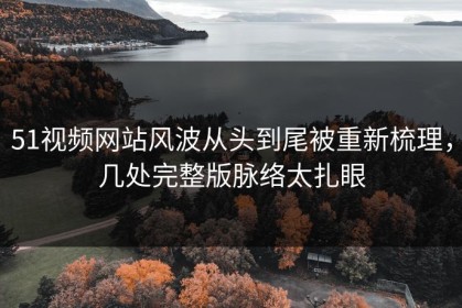 51视频网站风波从头到尾被重新梳理，几处完整版脉络太扎眼