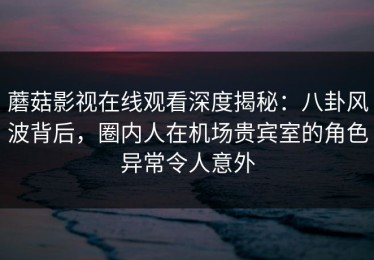 蘑菇影视在线观看深度揭秘：八卦风波背后，圈内人在机场贵宾室的角色异常令人意外