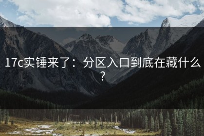 17c实锤来了：分区入口到底在藏什么?