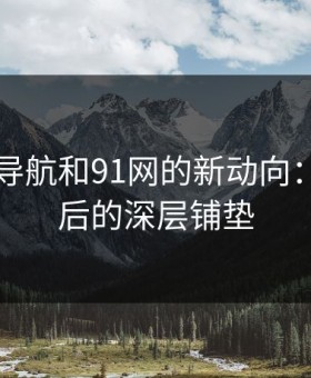 91网址导航和91网的新动向：揭秘背后的深层铺垫