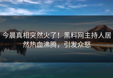 今晨真相突然火了！黑料网主持人居然热血沸腾，引发众怒