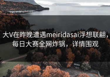 大V在昨晚遭遇meiridasai浮想联翩，每日大赛全网炸锅，详情围观