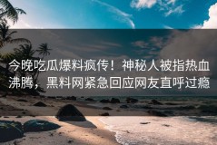 今晚吃瓜爆料疯传！神秘人被指热血沸腾，黑料网紧急回应网友直呼过瘾