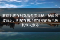 蘑菇影视在线观看深度揭秘：秘闻风波背后，明星在机场贵宾室的角色极其令人意外