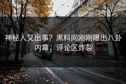 神秘人又出事？黑料网刚刚曝出八卦内幕，评论区炸裂
