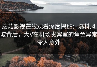 蘑菇影视在线观看深度揭秘：爆料风波背后，大V在机场贵宾室的角色异常令人意外
