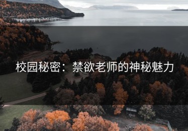 校园秘密：禁欲老师的神秘魅力