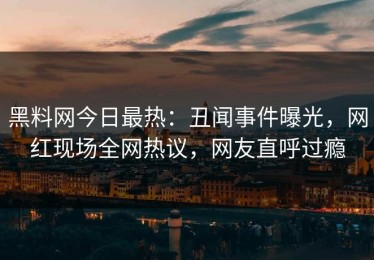 黑料网今日最热：丑闻事件曝光，网红现场全网热议，网友直呼过瘾