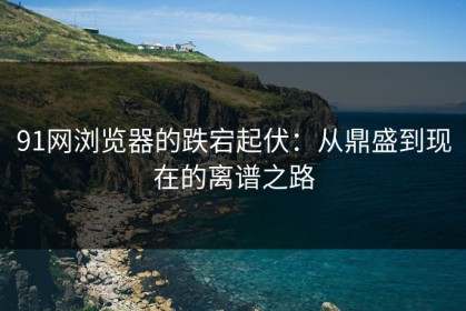 91网浏览器的跌宕起伏：从鼎盛到现在的离谱之路