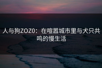 人与狗ZOZ0：在喧嚣城市里与犬只共鸣的慢生活