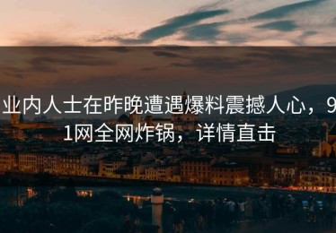 业内人士在昨晚遭遇爆料震撼人心，91网全网炸锅，详情直击