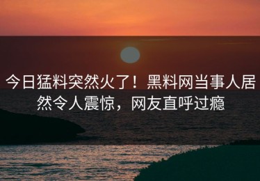 今日猛料突然火了！黑料网当事人居然令人震惊，网友直呼过瘾