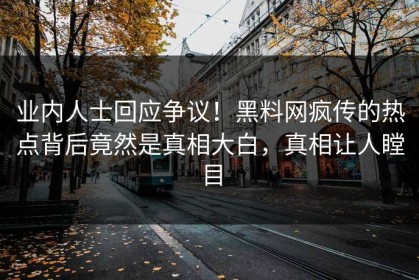 业内人士回应争议！黑料网疯传的热点背后竟然是真相大白，真相让人瞠目