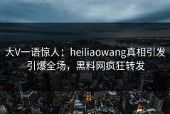 大V一语惊人：heiliaowang真相引发引爆全场，黑料网疯狂转发