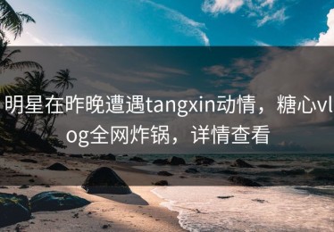 明星在昨晚遭遇tangxin动情，糖心vlog全网炸锅，详情查看