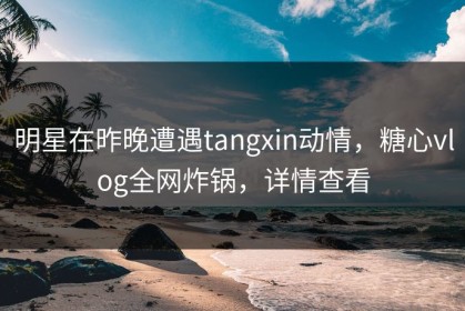 明星在昨晚遭遇tangxin动情，糖心vlog全网炸锅，详情查看