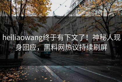 heiliaowang终于有下文了！神秘人现身回应，黑料网热议持续刷屏