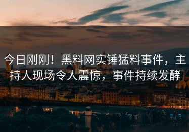 今日刚刚！黑料网实锤猛料事件，主持人现场令人震惊，事件持续发酵