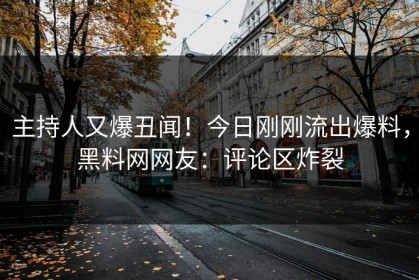 主持人又爆丑闻！今日刚刚流出爆料，黑料网网友：评论区炸裂