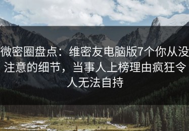 微密圈盘点：维密友电脑版7个你从没注意的细节，当事人上榜理由疯狂令人无法自持