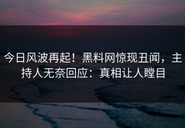 今日风波再起！黑料网惊现丑闻，主持人无奈回应：真相让人瞠目