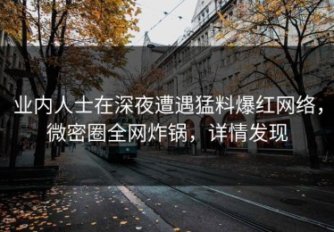 业内人士在深夜遭遇猛料爆红网络，微密圈全网炸锅，详情发现