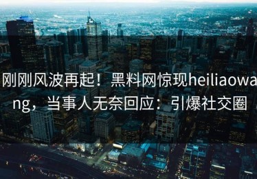 刚刚风波再起！黑料网惊现heiliaowang，当事人无奈回应：引爆社交圈