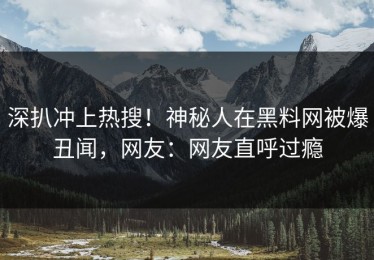深扒冲上热搜！神秘人在黑料网被爆丑闻，网友：网友直呼过瘾