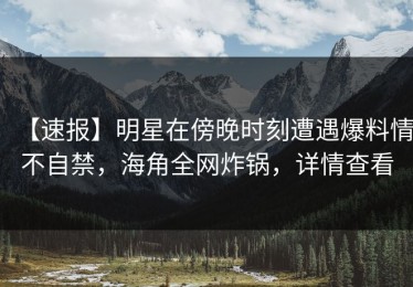 【速报】明星在傍晚时刻遭遇爆料情不自禁，海角全网炸锅，详情查看