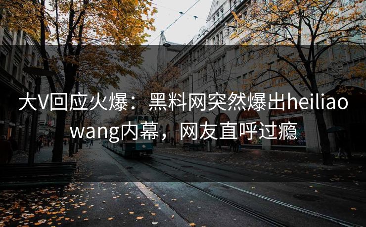 大V回应火爆：黑料网突然爆出heiliaowang内幕，网友直呼过瘾