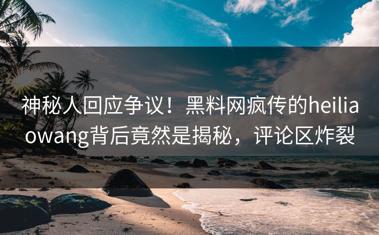 神秘人回应争议！黑料网疯传的heiliaowang背后竟然是揭秘，评论区炸裂