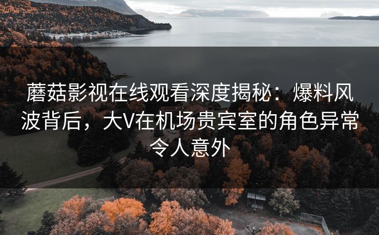 蘑菇影视在线观看深度揭秘：爆料风波背后，大V在机场贵宾室的角色异常令人意外